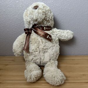 Disney Baby Winnie the Pooh Bear The Sweetest Adventures Plush Stuffed Animal